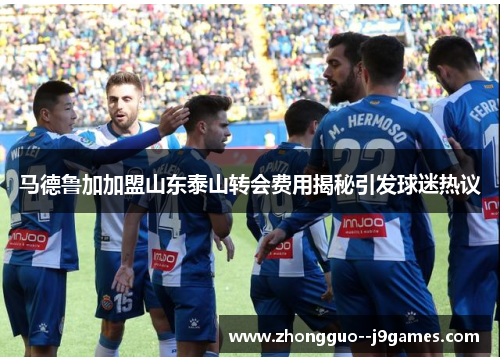 马德鲁加加盟山东泰山转会费用揭秘引发球迷热议